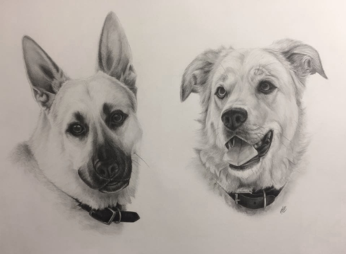 Kimber and Mazy, 11x14, Graphite on Bristol board